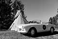 1960 Alfa Romeo Veloce Spyder | Will Brewster Photographer